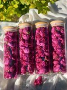 冻干鲜花制作流程及详细方法